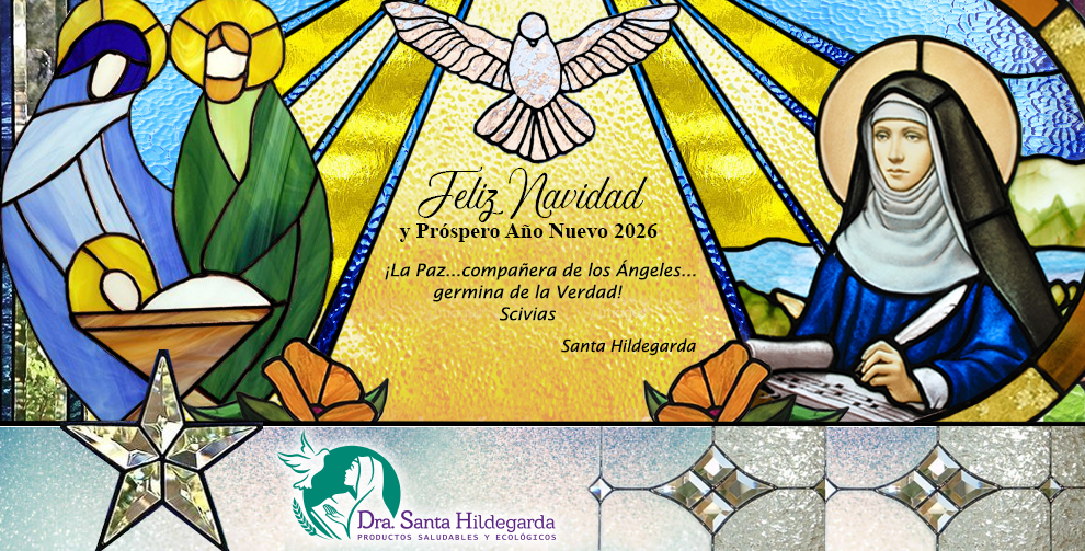 ¡Feliz Navidad y Próspero Año Nuevo 2026!